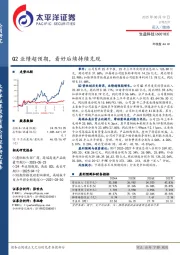 Q2业绩超预期，看好后续持续兑现