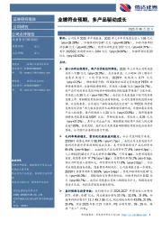 业绩符合预期，多产品驱动成长