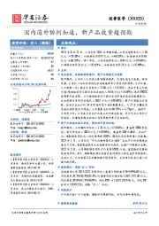 国内海外协同加速，新产品放量超预期