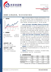 2025H1业绩超预期,埃及项目稳步推进