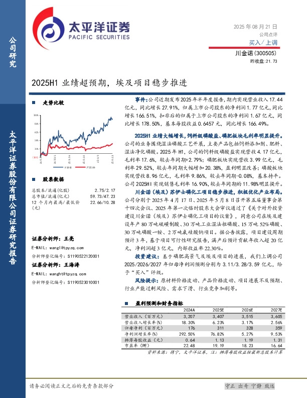 2025H1业绩超预期，埃及项目稳步推进