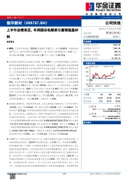 上半年业绩承压，布局固态电解质与富锂锰基材料