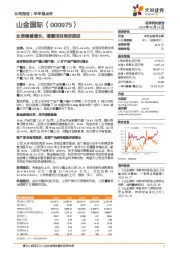 业绩稳健增长,增量项目高效推进