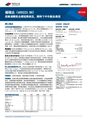 战略调整致业绩短期承压，期待下半年新品表现