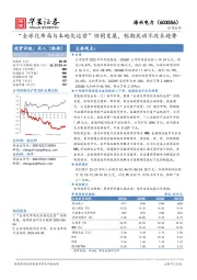 “全球化布局与本地化运营”协同发展，短期扰动不改长趋势