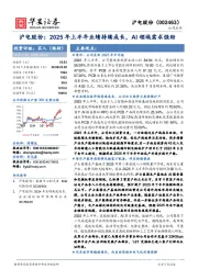 沪电股份：2025年上半年业绩持续成长，AI领域需求强劲
