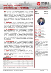 2025年半年报点评:盈利阶段性承压,坚定BC产品领先布局