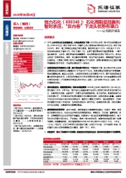 公司简评报告:石化周期底部盈利暂时承压,“反内卷”下龙头优势有望凸