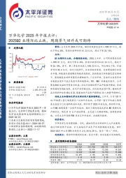 万华化学2025年中报点评：2025Q2业绩环比止跌，周期景气回升或可期待