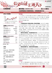 合成润滑基础油与药辅双轮驱动，布局战略性新兴行业