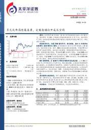 多元化布局进展显著，定制存储打开成长空间