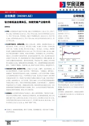 钛白粉低迷业绩承压，持续完善产业链布局