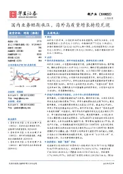 国内业务短期承压，海外高质量增长持续兑现