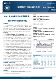 25H1收入恢复增长业绩短期承压,看好半导体业务的成长性
