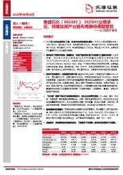 公司简评报告:2025H1业绩承压,持续加深产业链布局静待周期复苏