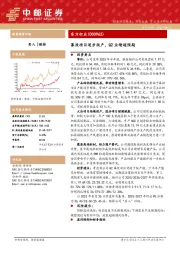 募投项目逐步爬产，Q2业绩超预期
