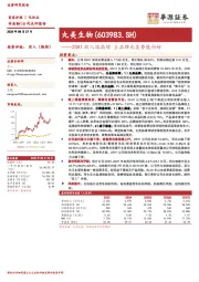 25H1收入端高增 主品牌丸美势能向好