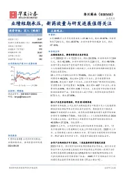 业绩短期承压,新药放量与研发进展值得关注