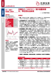公司简评报告：海外销量高增长，带动营收创新高