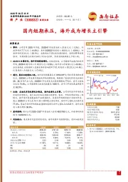 国内短期承压,海外成为增长主引擎
