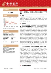 上半年利润承压，新品推广/新渠道拓展驱动下半年增长