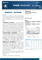 电表稳步增长,海外开拓加速
