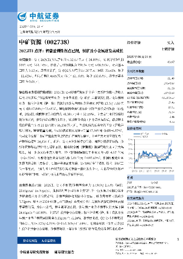 2025H1点评：锂盐盈利性拐点已现，铜矿及小金属迸发高成长