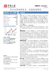 多元业务协同发力，业绩高速增长