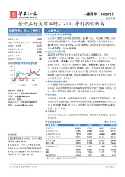 金价上行支撑业绩，25H1净利润创新高