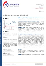 业绩短期承压,高端仪器国产趋势不变