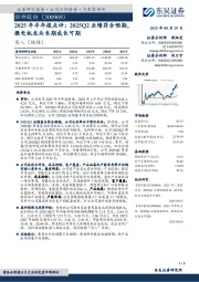 2025年半年报点评:2025Q2业绩符合预期,微电机龙头长期成长可期