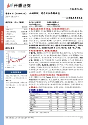 公司信息更新报告:金铜齐驱,有色龙头再创佳绩