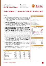 2025年半年报点评:小分子稳健向上,生物大分子与化学大分子快速增长