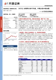 公司信息更新报告：2025Q2业绩同比扭亏为盈，车载业务加速拓展