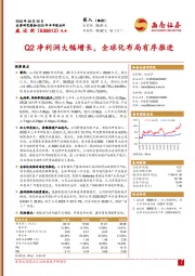 2025年半年报点评:Q2净利润大幅增长,全球化布局有序推进