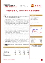 业绩短期承压,出口与新兴品类展现韧性