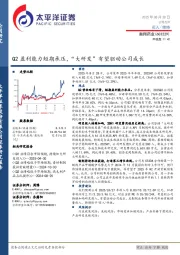 Q2盈利能力短期承压，“大研发”有望驱动公司成长