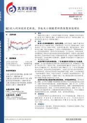 Q2收入利润创历史新高，多肽及小核酸原料药销售快速增长