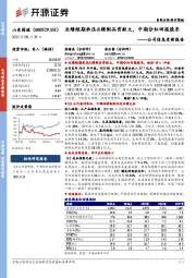 公司信息更新报告：业绩短期承压&模制品贡献大，中期分红回报股东