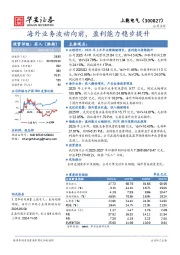 海外业务波动向前，盈利能力稳步提升