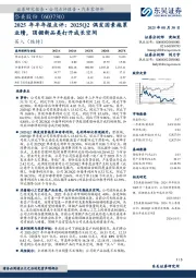 2025年半年报点评:2025Q2偶发因素拖累业绩,顶棚新品类打开成长空间