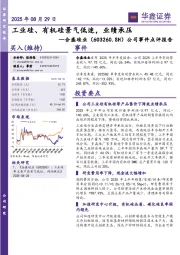 公司事件点评报告：工业硅、有机硅景气低迷，业绩承压