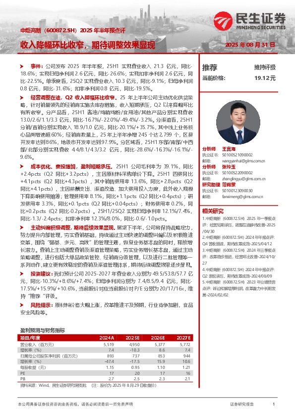 2025年半年报点评：收入降幅环比收窄，期待调整效果显现