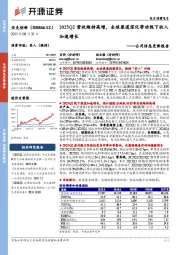 公司信息更新报告：2025Q2营收维持高增，全球渠道深化带动线下收入加速增长