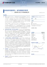 上海医药2025年中报业绩点评:商业板块稳健增长,研发创新稳步推进
