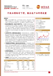 2025年中报点评：中报业绩略有下滑，镁合金产品即将放量