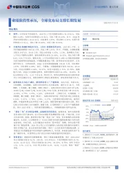业绩阶段性承压，全球化布局支撑长期发展