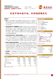 非美市场加速开拓，利润端持续优化