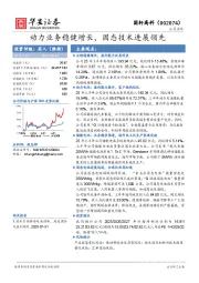 动力业务稳健增长,固态技术进展领先