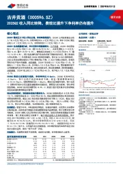 2025Q2收入同比转降，费效比提升下净利率仍有提升